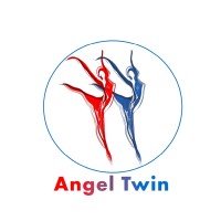 Angel Twin logo - Similar company to Agile Evolutionary Group