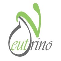 Neutrino Racing Team logo - Similar company to Ieee Eru Sb