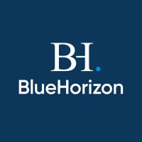 BlueHorizon logo - Similar company to Simstream Bv