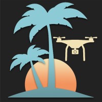 Palm Tree Studio