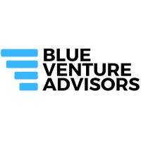 Blue Venture Advisors logo - Similar company to Tempus Applied Solutions