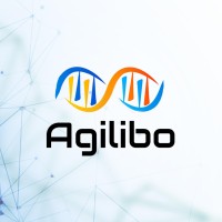 Agilibo logo - Similar company to Archibo Gmbh - It Consultancy & Services