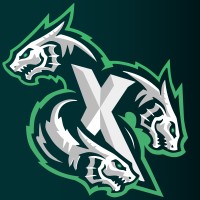 X GANG ESPORTS logo - Similar company to T