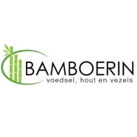 Bamboerin logo - Similar company to Blitz-Development