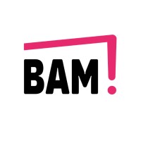 BAM! Strategie Culturali logo - Similar company to Digital Library - Istituto Centrale Per La Digitalizzazione Del Patrimonio Culturale