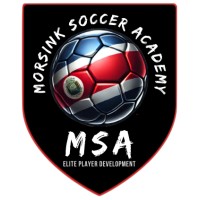 Morsink Soccer Academy logo - Similar company to Twelfth Soccer Academy