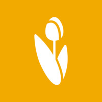 ThinkingDutch logo - Similar company to Mds Consulting B.V.