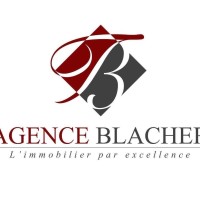 Agence Blacher logo - Similar company to Wyse Executive