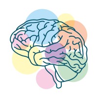 Breinwijzer psychologisch onderzoek logo - Similar company to Hellp Stichting