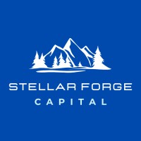 Stellar Forge Capital logo - Similar company to Stellar Forge Compute