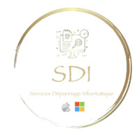 SDI Paris logo - Similar company to Hi Tech Infinity