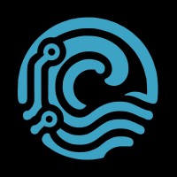 Tech Tsunami