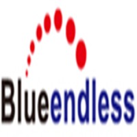 Shenzhen Blueendless Electronics Co. Ltd.