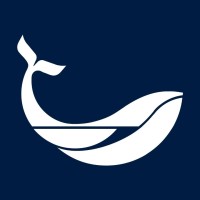 loscabosiff logo - Similar company to Ficmonterrey