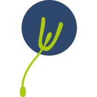 Dandelion logo - Similar company to Ingenium