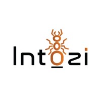 Intozi logo - Similar company to Allgovision