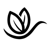 STEMist Education logo - Similar company to Zeducate