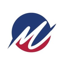MASS IT SOLUTIONS LLP logo - Similar company to Trythat.Ai