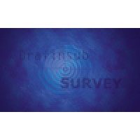 DRAFINSUB SURVEY Srl logo - Similar company to Drafinsub