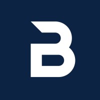 Bulkistan Technologies logo - Similar company to Omnicode Technologies