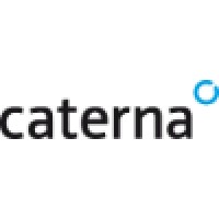 Caterna Vision GmbH logo - Similar company to Cloud It Services Gmbh