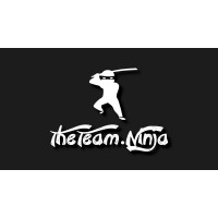 Theteam.Ninja