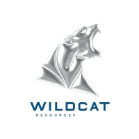 Wildcat Resources logo - Similar company to Brightstar Resources