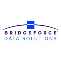 Bridgeforce Data Solutions logo - Similar company to Bridgeforce