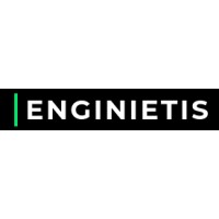 Enginietis logo - Similar company to Hitam Vidhya