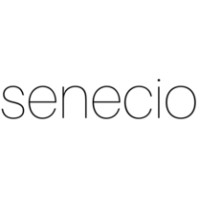 senecio logo - Similar company to Senecio Ltd.