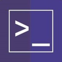 NETWORKCODE - Technological Solutions logo - Similar company to Consulsap