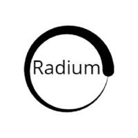 Radium Executive Search logo - Similar company to Hunter-Z Research Pvt. Ltd.
