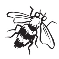 CarnieBees logo - Similar company to Check Check Productions