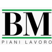 B.M. SRL logo - Similar company to B.M. Srl