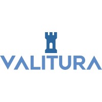 Valitura logo - Similar company to Meta Techverse