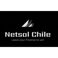 NETSOL CHILE SPA logo - Similar company to Local Traders