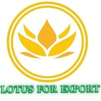 lotus logo - Similar company to Lotus