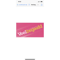 Veelbegaafd logo - Similar company to Bee Aides
