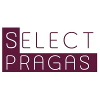 Select Pragas logo - Similar company to Milenium Service Controle De Pragas