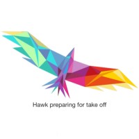 Infohawk Solutions logo - Similar company to Travelup App