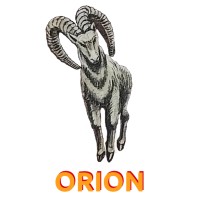 Orion E-Mobility logo - Similar company to Slandix