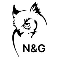 N&G RECRUITMENT CONSULTING logo - Similar company to Inseit