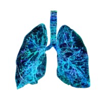 ImmuONE logo - Similar company to Healthcare Technologies Capability Connector (Htcc)