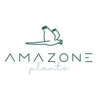Amazone Plants logo - Similar company to Belier & Reis Plants