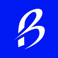 Borkar - Acessórios Automotivos Originais logo - Similar company to Your Journey | Story Lab