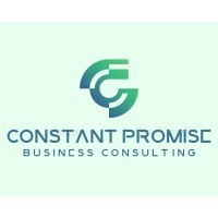 Constant Promise Business Consulting logo - Similar company to Vzora