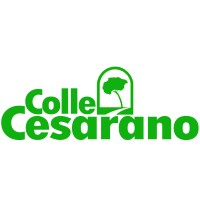 CENTRO DI CURA COLLE CESARANO logo - Similar company to Noibene