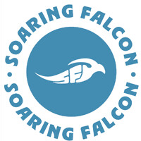 Soaring Falcon logo - Similar company to 8 Second Attention