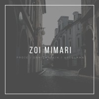 ZOI MIMARI logo - Similar company to Phiform