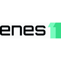 enes11 GmbH logo - Similar company to Paycoach